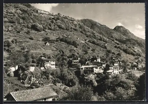 AK Piandessio Agarone, Panorama