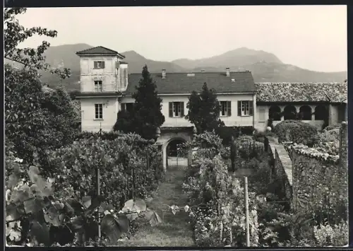 AK Novazzano, Castello Brusata