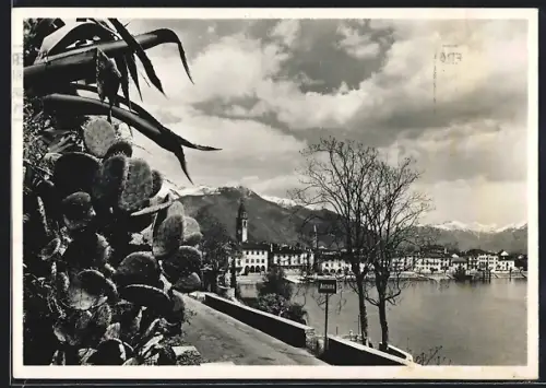 AK Ascona, Vegatazione