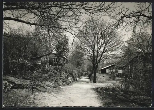 AK Arcegno /Ti., Campo Enrico Pestalozzi, La Ciossa