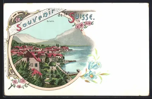 Lithographie Brienz, Vue Générale