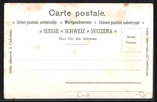 Lithographie Brienz, Vue Générale