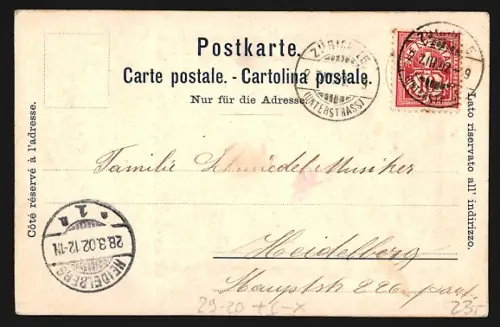 Seiden-AK Zürich, Teilansicht aus der Vogelschau