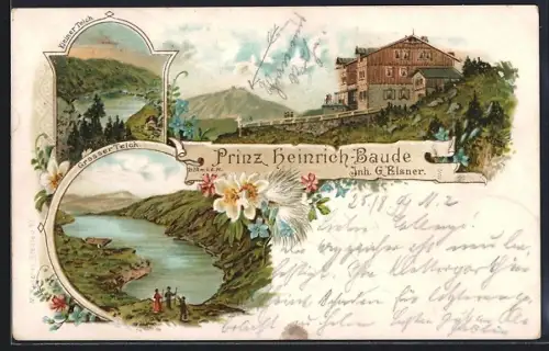 Glitzer-Perl-AK Prinz Heinrich-Baude, Grosser Teich