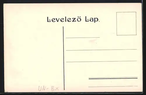 Künstler-AK Budapest, Hotel Fiume Szálló, Strassenbahn, Dampfer