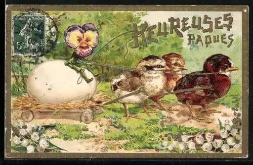 AK Grashüpfer mit Stiefmütterchen-Gesicht auf einem Osterküken-Ei-Gespann, Metamorphose