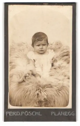 Fotografie Ferd. Pöschl, Planegg, Kleinkind auf einem Fell