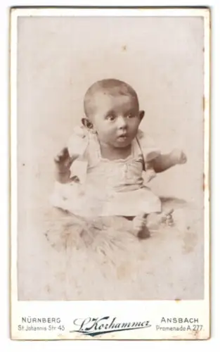 Fotografie L. Korhammer, Nürnberg, St. Johannis Str. 45, Porträt eines sitzenden Kleinkinds
