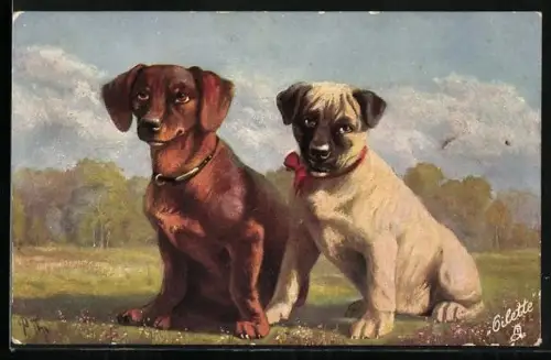 AK Dackel mit Gefährte auf einer Wiese, Portrait
