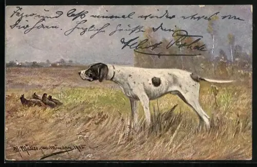 Künstler-AK M. Müller jun.: Jagdhund schaut nach Fasanen