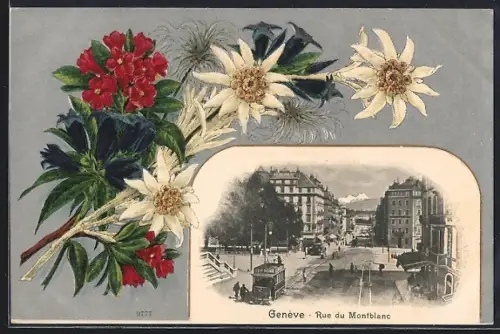 AK Genéve, Flusspartie, Edelweiss und Alpenrose