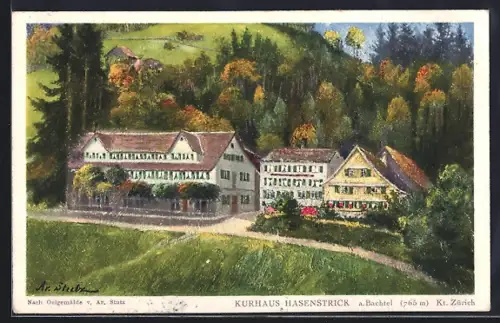 Künstler-AK Dürnten /Zürich, Kurhaus Hasenstrick a. Bachtel