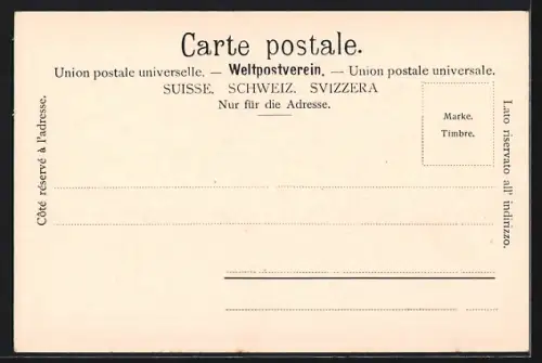 AK Biel, Paspuart und Museum