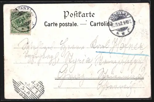 Lithographie Schaffhausen, Ansicht von oben, Munoth, Brücke, Dampfer, Blumen