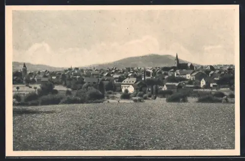 AK Miesenheim, Totalansicht der Ortschaft