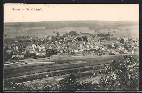 AK Dassel, Totalansicht mit Bäumen
