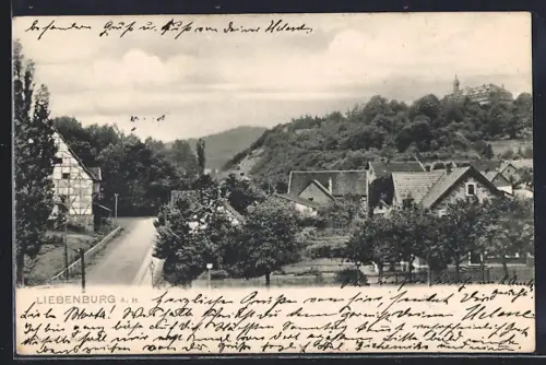 AK Liebenburg a. H., Ortspartie mit Strasse