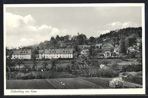 AK Liebenburg, Totalansicht