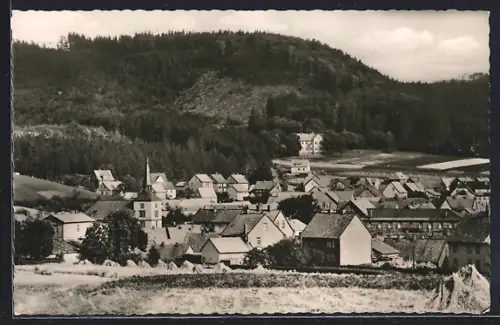AK Wolfshagen /Harz, Teilansicht mit Bäumen