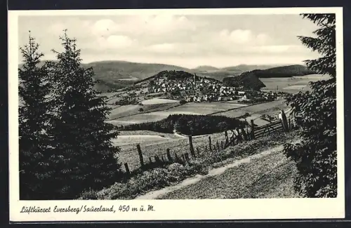 AK Eversberg /Sauerland, Panorama mit Tannen