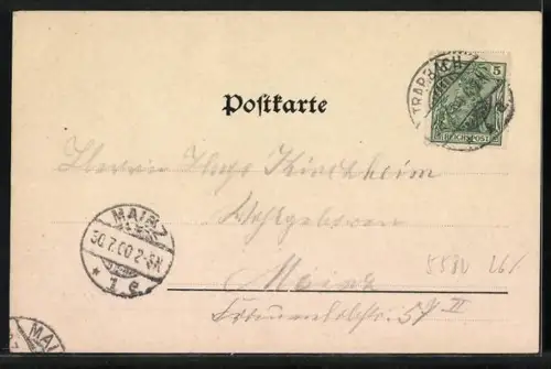 AK Bad Wildstein / Mosel, Ortsansicht und Strassenpartie