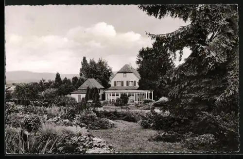 AK Elfenborn, Blumenpark, Restaurant Cafe Barkhausen