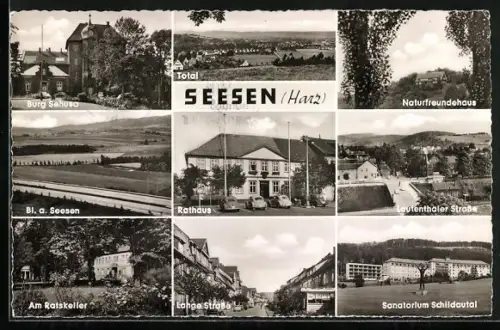 AK Seesen /Harz, Sanatorium Schildautal, Rathaus, Lange Strasse, Naturfreundehaus, Burg Sehusa und Lautenthaler Strasse