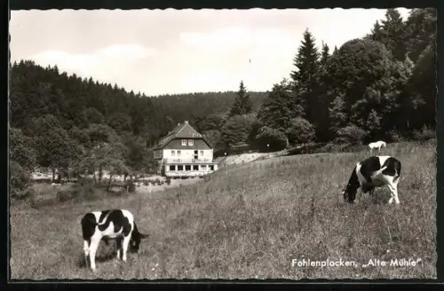 AK Fohlenplacken / Neuhaus, Waldhotel Alte Mühle