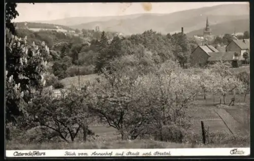AK Osterode /Harz, Blick vom Annenhof auf Stadt und Sösetal