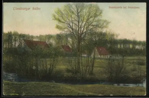 AK Schierhorn /Lüneburger Heide, Sommerpartie