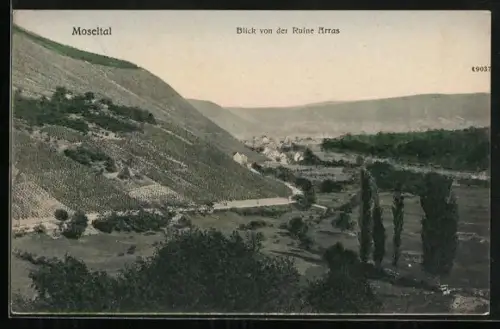 AK Alf / Mosel, Blick von der Burg Arras