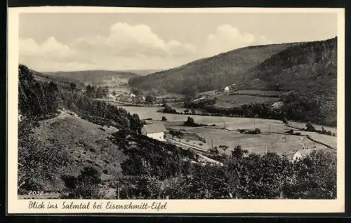 AK Eisenschmitt-Eifel, Blick ins Salmtal