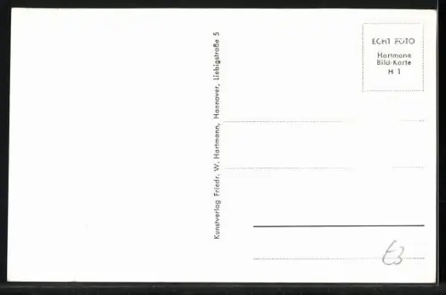 AK Wilhelmstein /Steinhuder Meer, Luftaufnahme