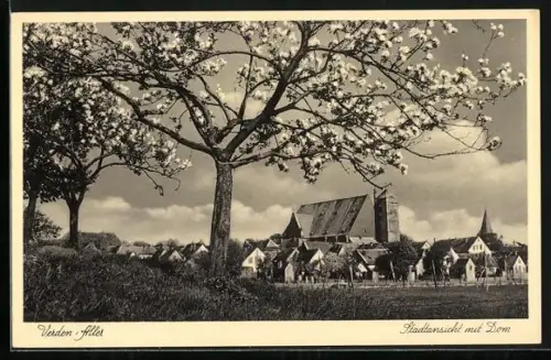 AK Verden /Aller, Stadtansicht mit Dom