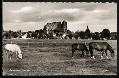 AK Verden, Dom, Pferdeweide, Stadtansicht