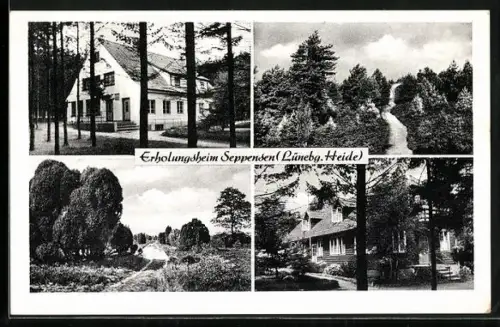 AK Seppensen /Lünebg. Heide, Erholungsheim und Waldlandschaft