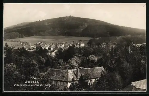 AK Löbau i. Sa., Villenkolonie, Löbauer Berg