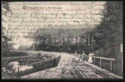 AK Sattenfelde b. Rohlfshagen, Brücke am Waldrand