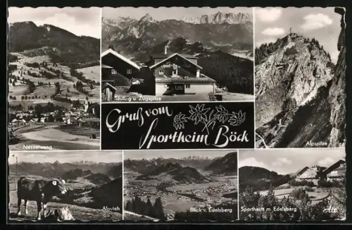 AK Nesselwang im Allgäu, Sportheim Böck, Alpspitze, Blick vom Edelsberg