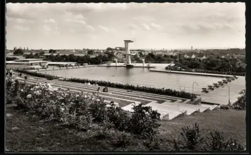 AK Schweinfurt am Main, Sommerbad, Sprungturm, Schwimmbecken, Tribünen