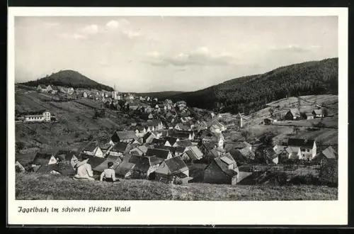 AK Iggelbach /Pfälzer Wald, Ortsansicht