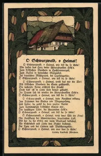 Steindruck-AK O Schwarzwald, o Heimat!, Bauernhaus in Landschaft