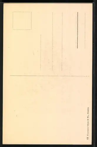 AK Schweizer Armee, Geniecorps, Uniform