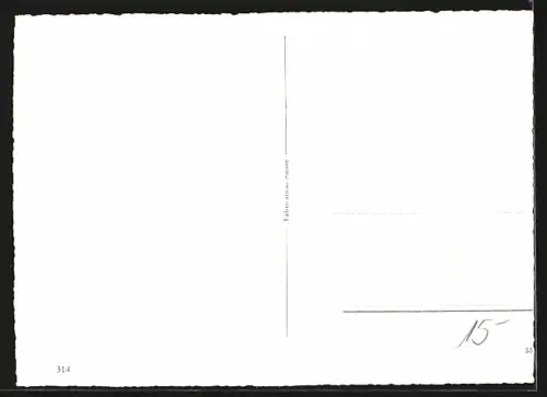 AK Cavigliano, Panorama mit Bergen