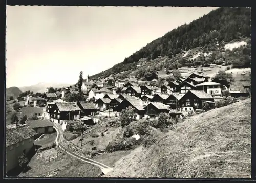 AK Cavagnago, Panorama mit Bäumen