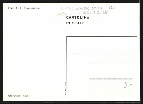AK Ascona, Vegetazione