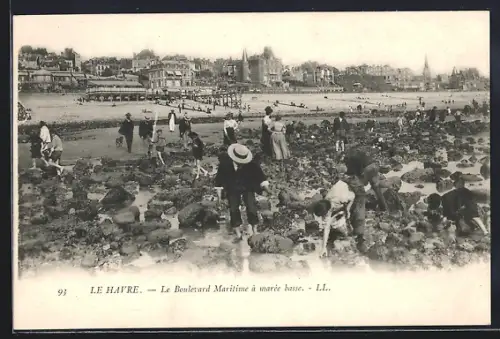 AK Le Havre, Le Boulevard Maritime à marée basse