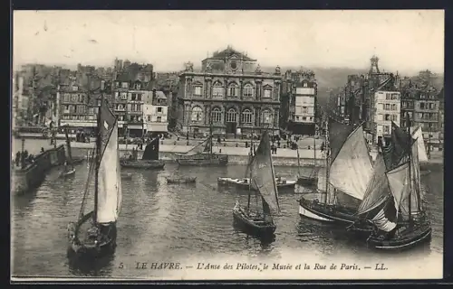 AK Le Havre, L`Anse des Pilotes, le Musée et la Rue de Paris