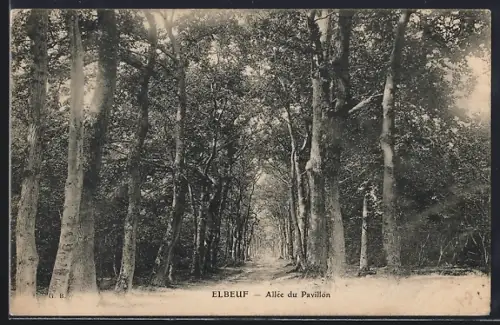 AK Elbeuf, Allée du Pavillon