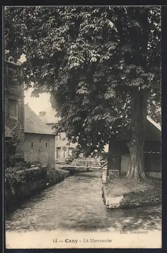 AK Cany, Le Marronnier au bord de la rivière avec vue sur les bâtiments adjacents